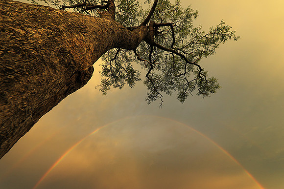 Sunset - Sabi Sand