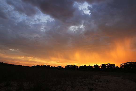 sunset - MalaMala