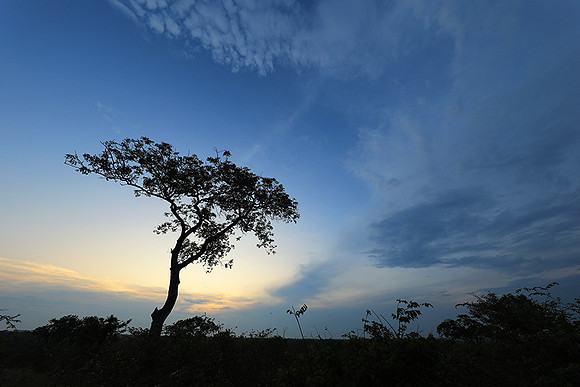 Sunset - Lion Sands
