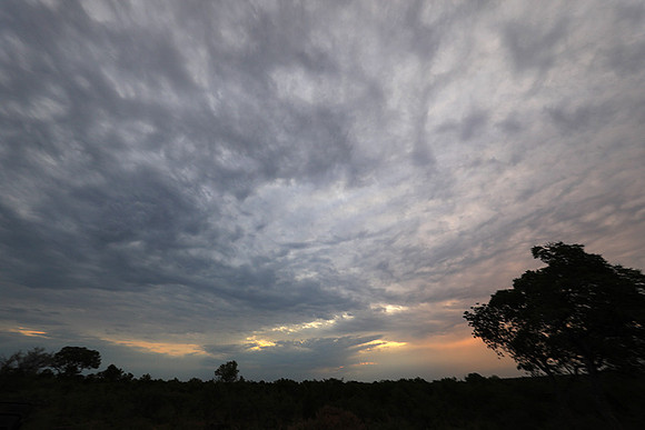Sunset - Lion Sands