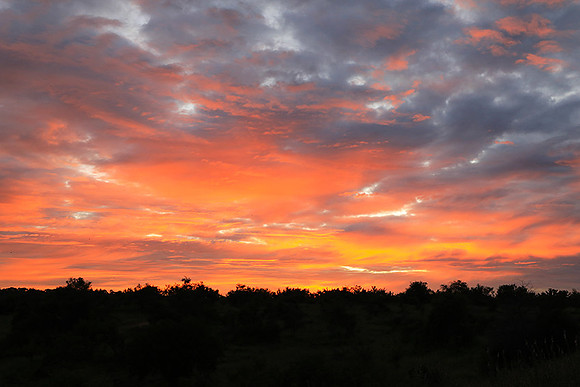 Sunset at Mala Mala