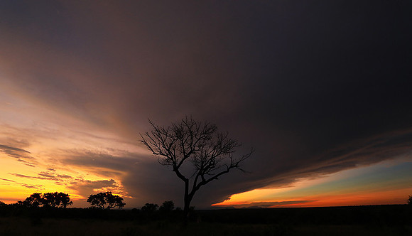 Sunset - Londolozi game reserve