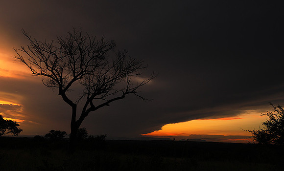 Sunset - Londolozi game reserve