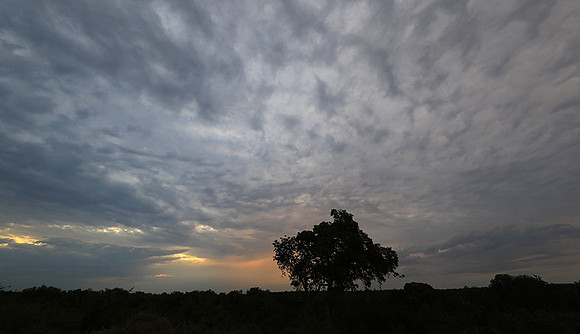 Sunset - Lion Sands