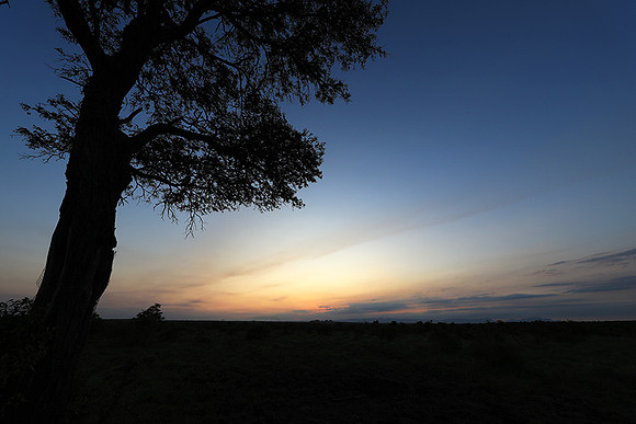 Sunset - Sabi Sand