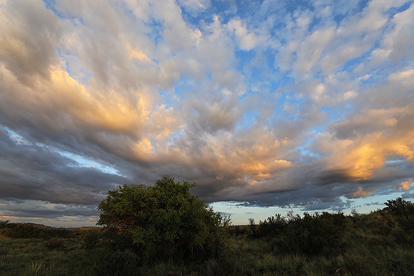 Sunrise at Tiger Canyon - Karoo