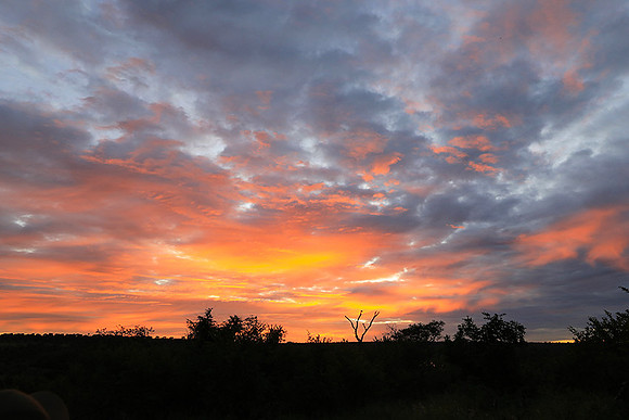 Sunset at Mala Mala
