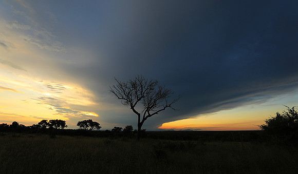 Sunset - Londolozi game reserve