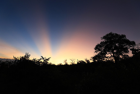 Sunset at Mala Mala