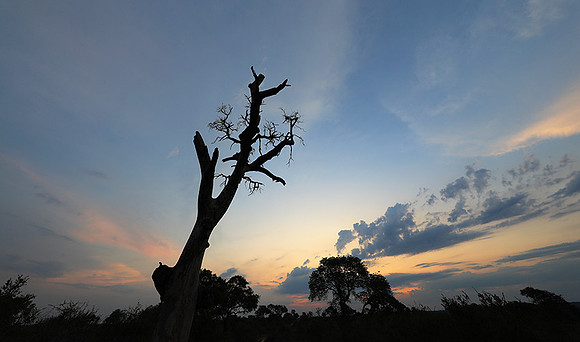 Sunset - Lion Sands