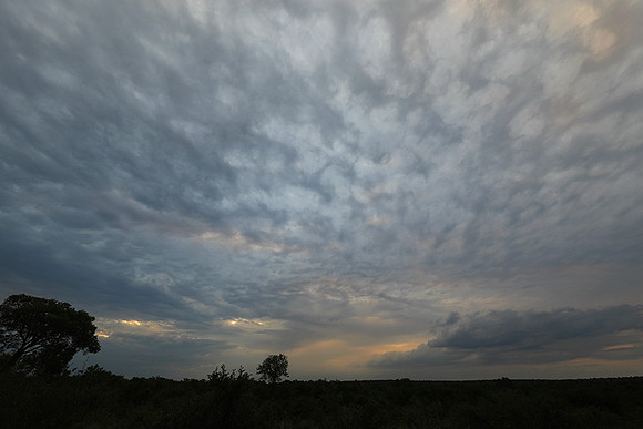 Sunset - Lion Sands