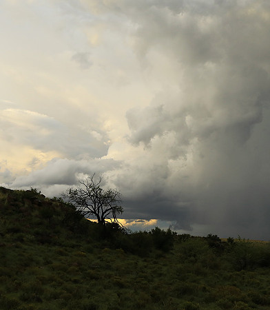 Sunset at Tiger Canyon - Karoo
