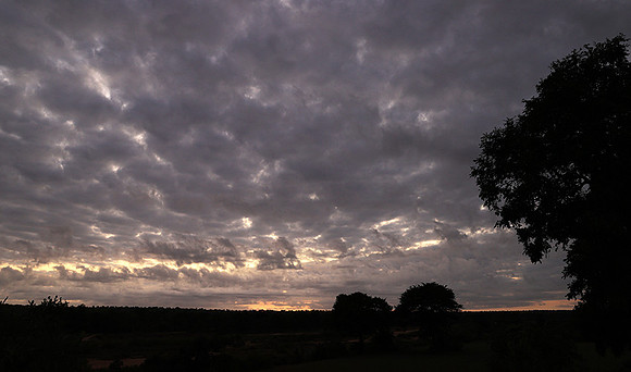 Sunrise - MalaMala
