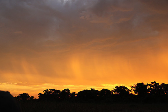 sunset - MalaMala