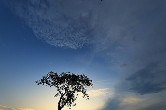 Sunset - Lion Sands