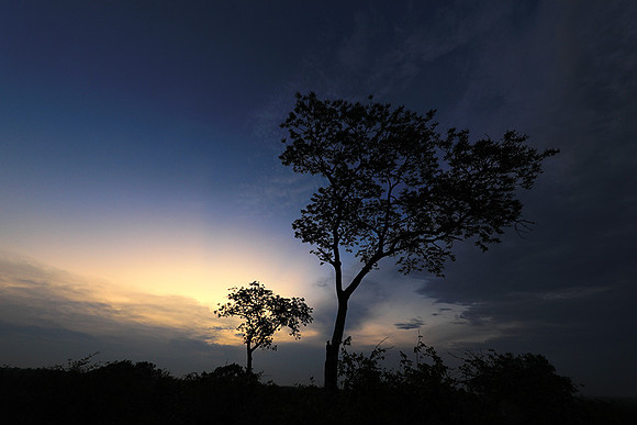 Sunset - Lion Sands