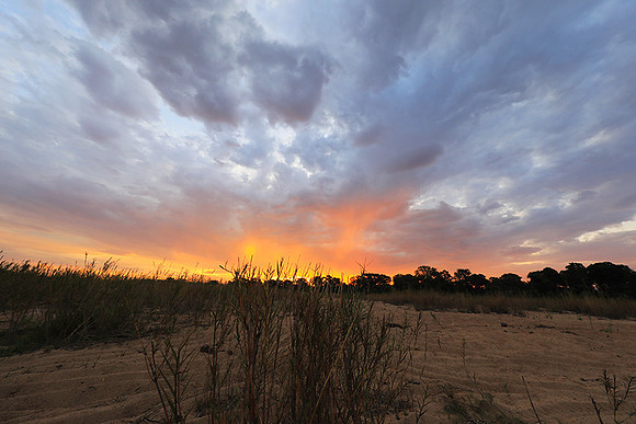 sunset - MalaMala