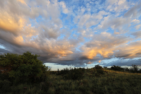 Sunrise at Tiger Canyon - Karoo