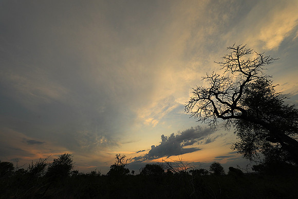 Sunset - Lion Sands