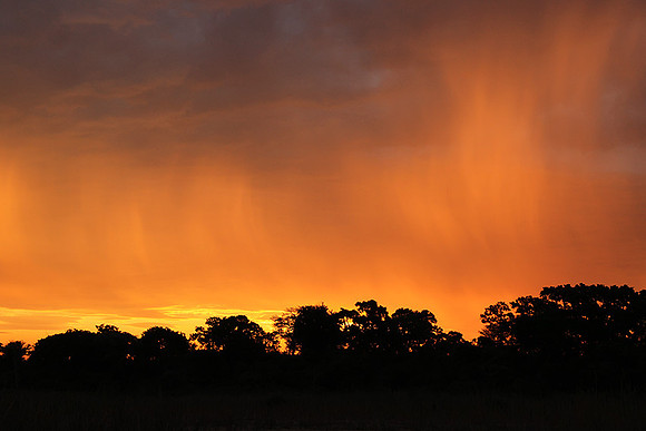 sunset - MalaMala