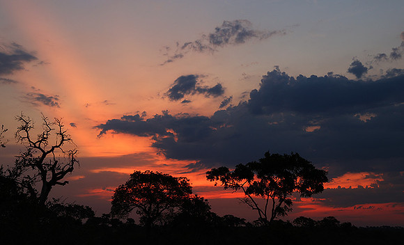 Sunset - Lion Sands