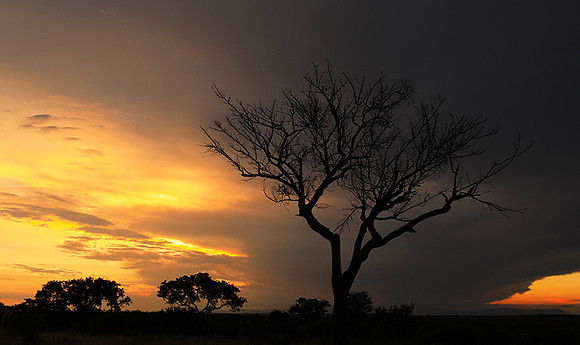Sunset - Londolozi game reserve
