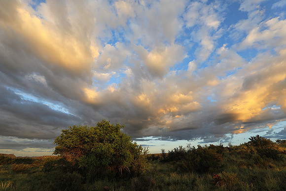 Sunrise at Tiger Canyon - Karoo