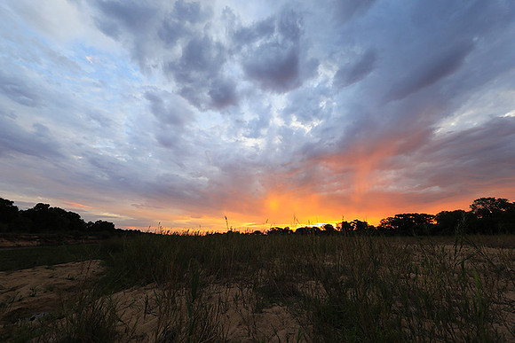 sunset - MalaMala