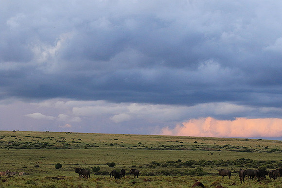 Sunset at Tiger Canyon - Karoo