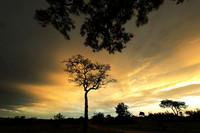 Sunset - Sabi Sand