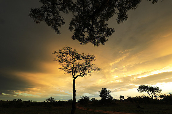 Sunset - Sabi Sand