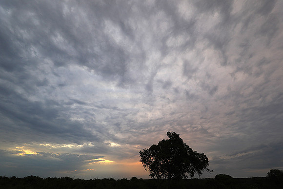 Sunset - Lion Sands