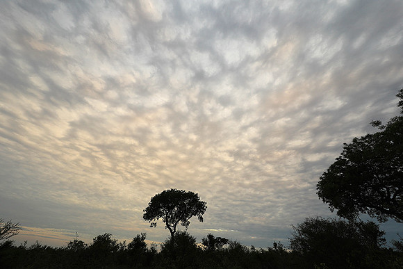 Sunset - Lion Sands