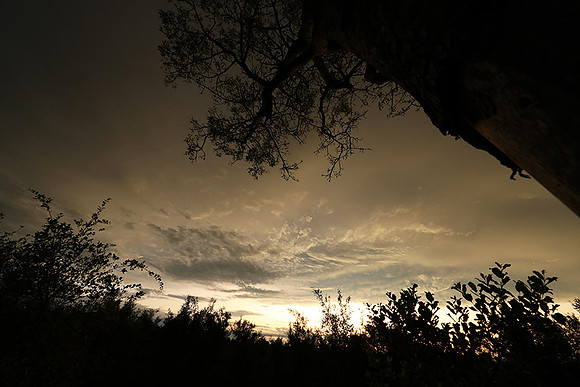 Sunset - Sabi Sand
