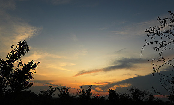 sunset - MalaMala