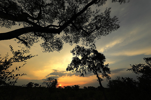 Sunset - Lion Sands