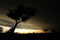 Sunset - Sabi Sand