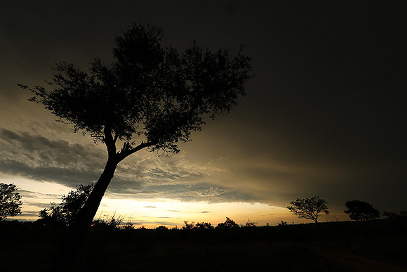 Sunset - Sabi Sand