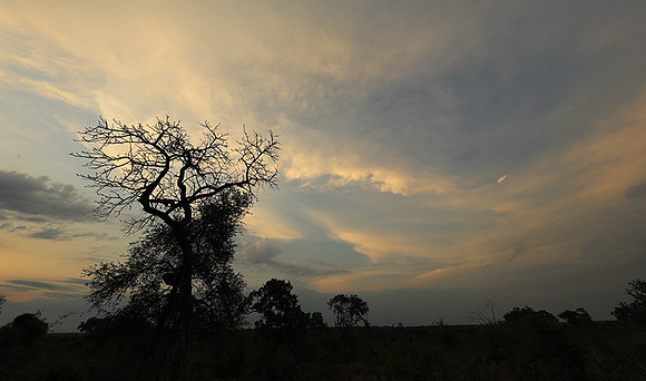 Sunset - Lion Sands