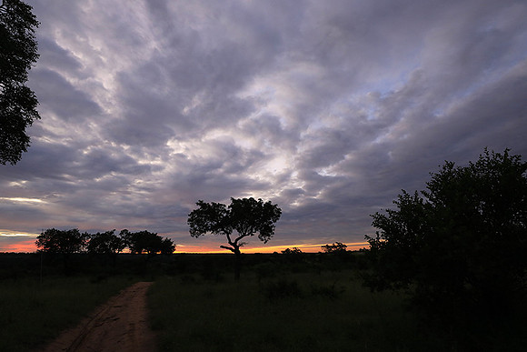 Sunset at Mala Mala