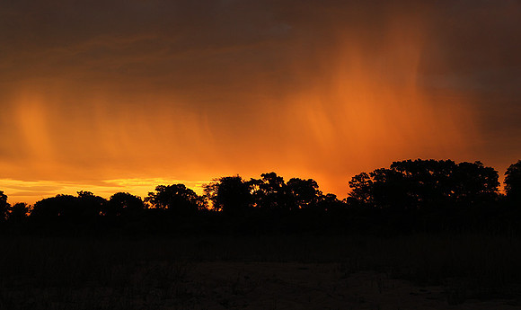 sunset - MalaMala