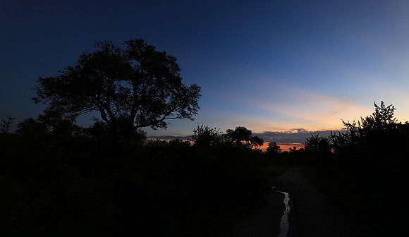 Sunset at Mala Mala