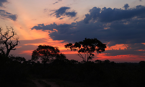 Sunset - Lion Sands