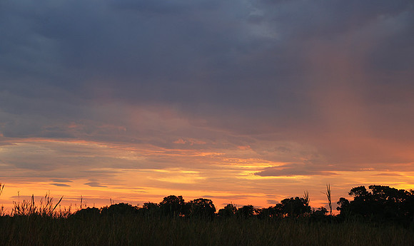 sunset - MalaMala