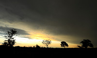 Sunset - Sabi Sand
