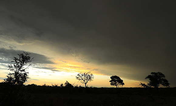 Sunset - Sabi Sand