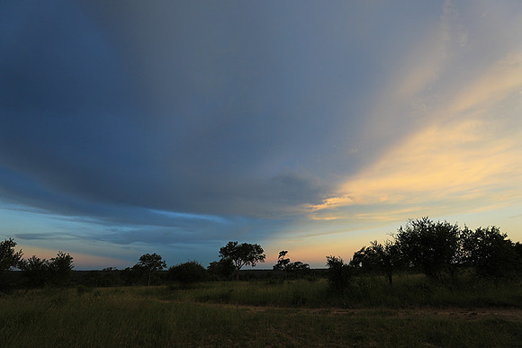 Sunset - Londolozi game reserve