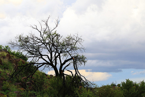 Sunset at Tiger Canyon - Karoo