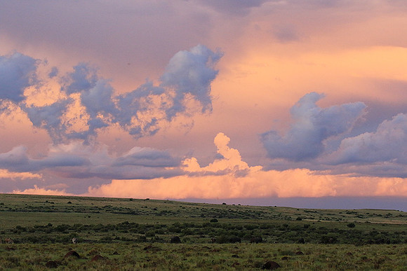 Sunset at Tiger Canyon - Karoo