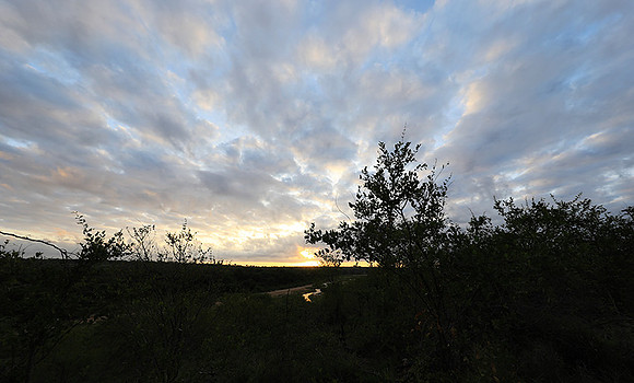 Sunrise - MalaMala